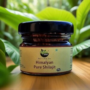 Pure Himalayan Shilajit Resin, 20 Gram