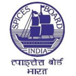 Untitled design (16)