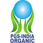 Untitled design (20)